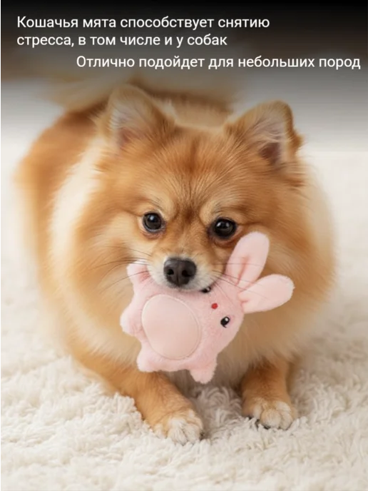 The best cat Игрушка для кошек и собак с мятой, розовый, фото 4