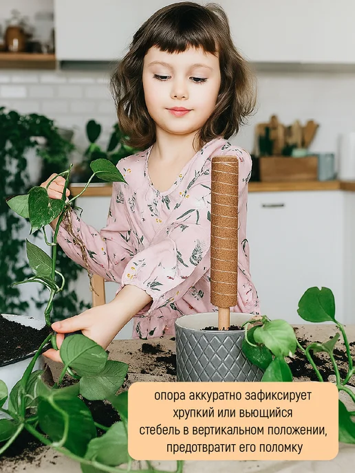 Garden Show Опора для растений наборная с коковитой 80 см, коричневый, фото 2
