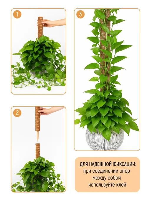 Garden Show Опора для растений наборная с коковитой 80 см, коричневый, фото 3