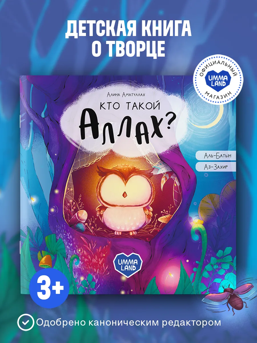 Книга Кто такой Аллах? Исламская сказка (Про совенка)