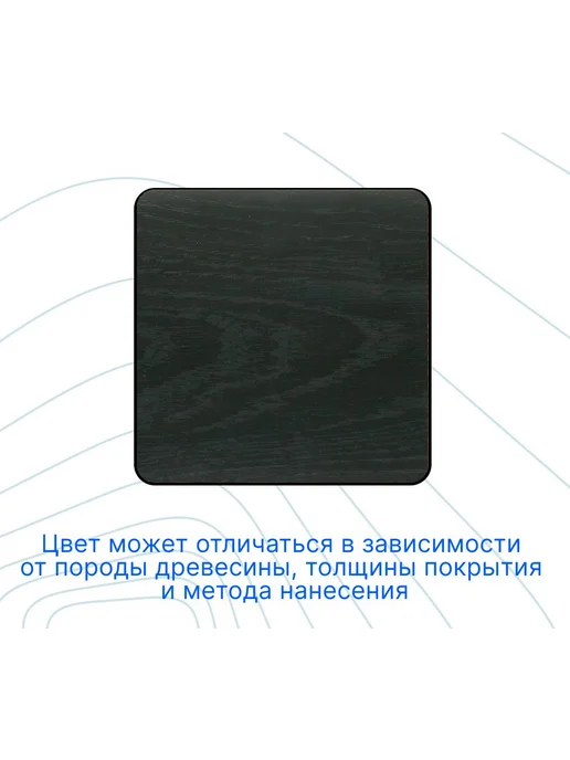 COLORWOOD, Морилка CW Чёрный, на водной основе, черный, фото 2