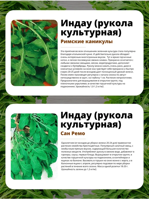 ГАВРИШ Руккола семена для посадки в саду и на подоконнике, зеленый, фото 3