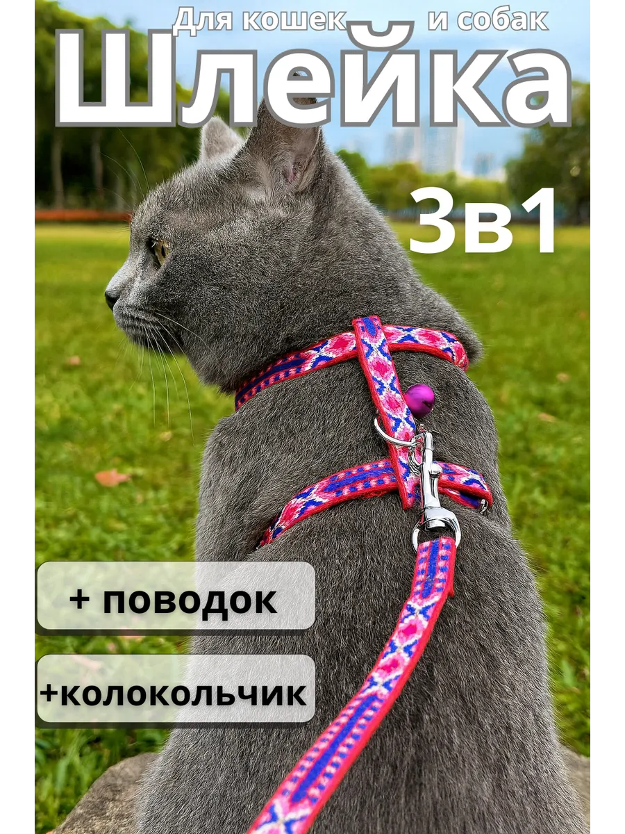 Стильная шлейка для кошек и маленьких собак с поводком