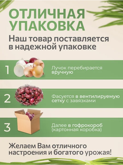 ОВОЩНАЯ ГРЯДКА Лук севок на посадку Карамель 0,5 кг, 500 г, фото 2