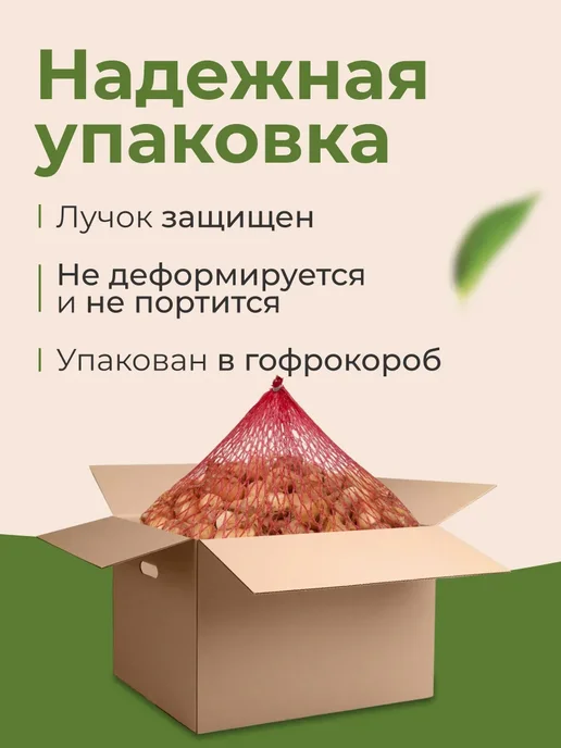 ОВОЩНАЯ ГРЯДКА Лук севок на посадку Дедуля 0,5 кг, 500 г, фото 2