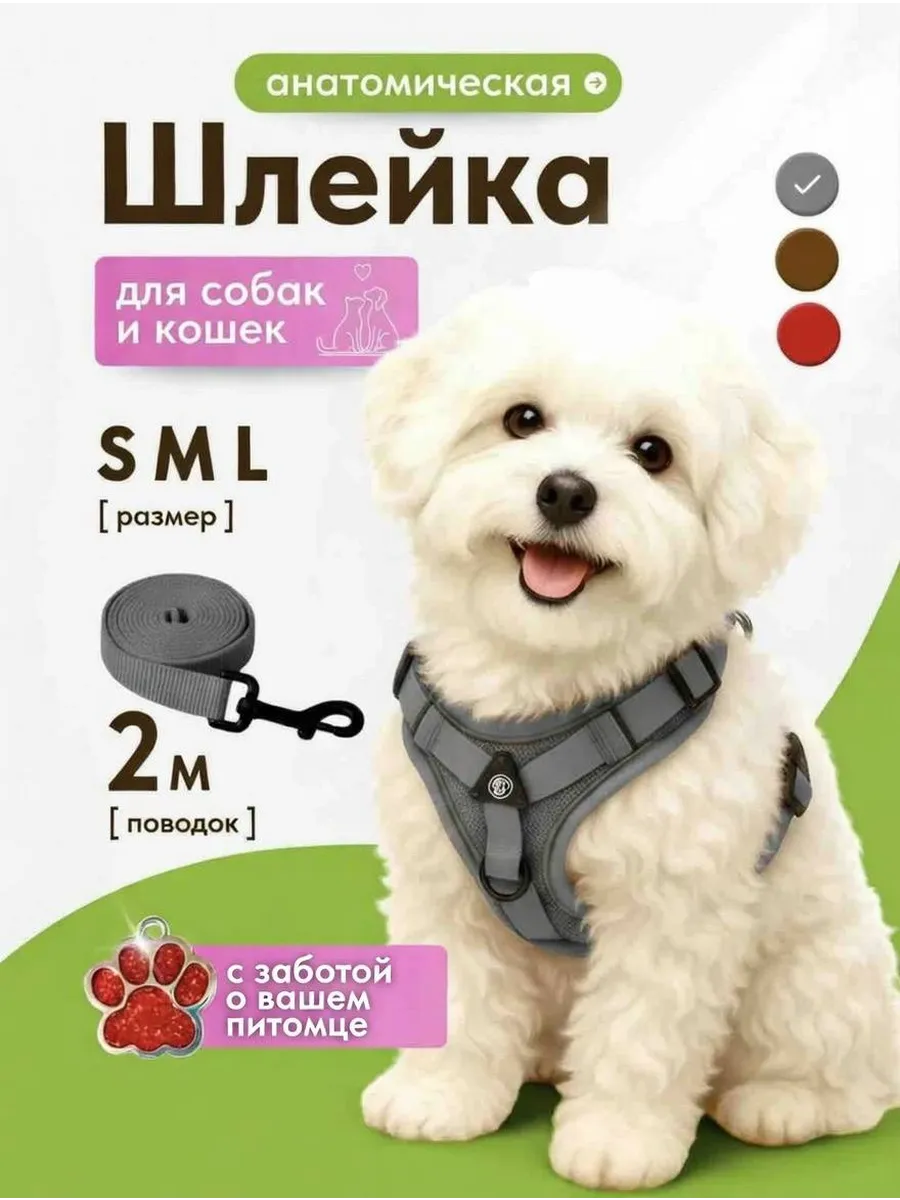 Шлейка для собак мелких средних пород и кошек с поводком