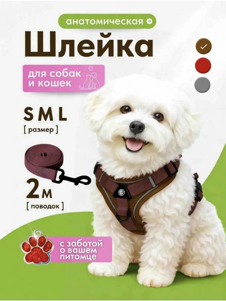Шлейка для собак мелких средних пород и кошек с поводком