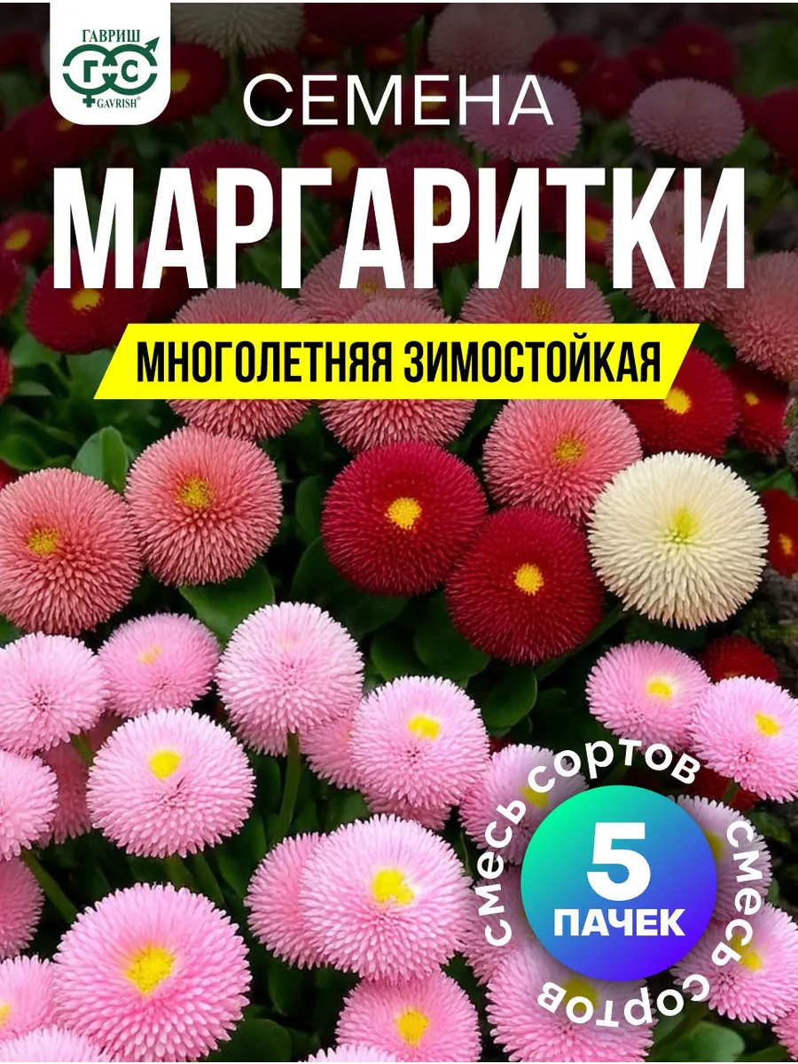 Маргаритки семена многолетние