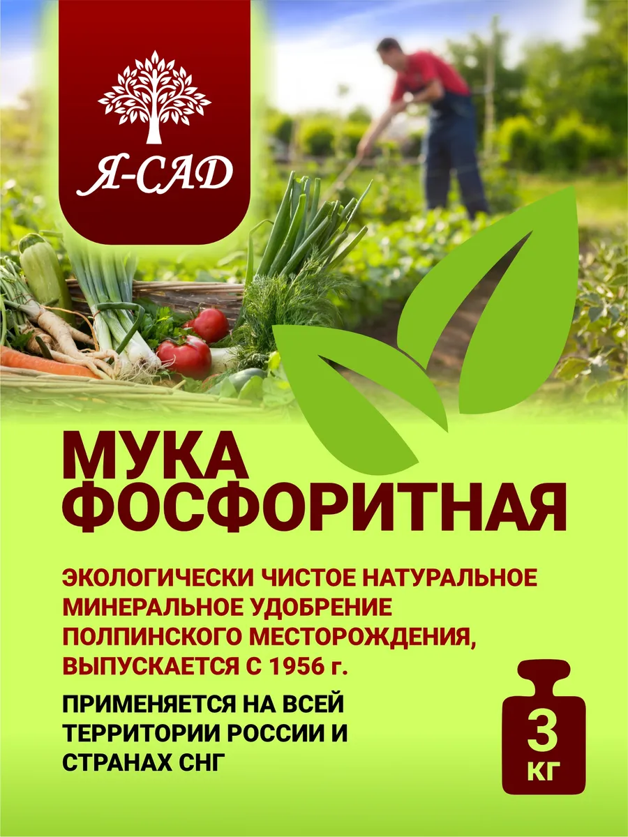 Фосфоритная мука удобрение