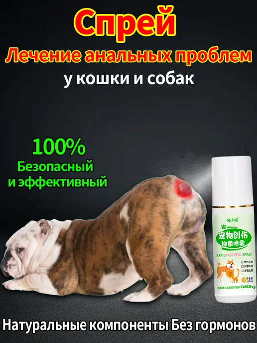 Спрей-помощник при проблемах анальных желез у собак, вариант