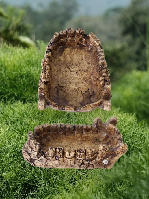 NOMOY PET Кормушка для рептилий (18*12*4,5 см.), 18x12, фото 2