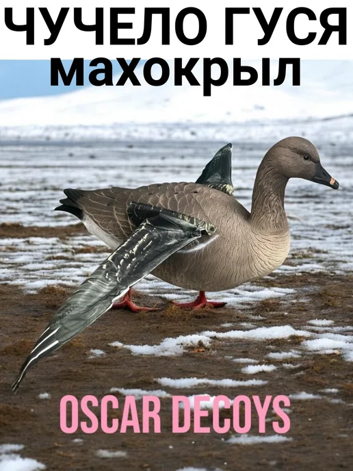oscar decoys Чучела для охоты гусь гуменник махокрыл отдыхающий, вариант, фото 2