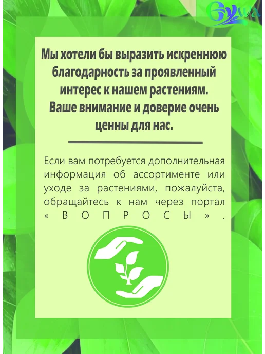 Горшки для рассады 9х9х14 см, 0,8 л 30 шт, 9x9x14 см, 800 мл, фото 3