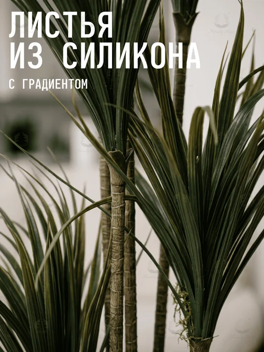 Friendly Home Искусственное дерево декоративное, Драцена 150 см, зеленый, фото 3