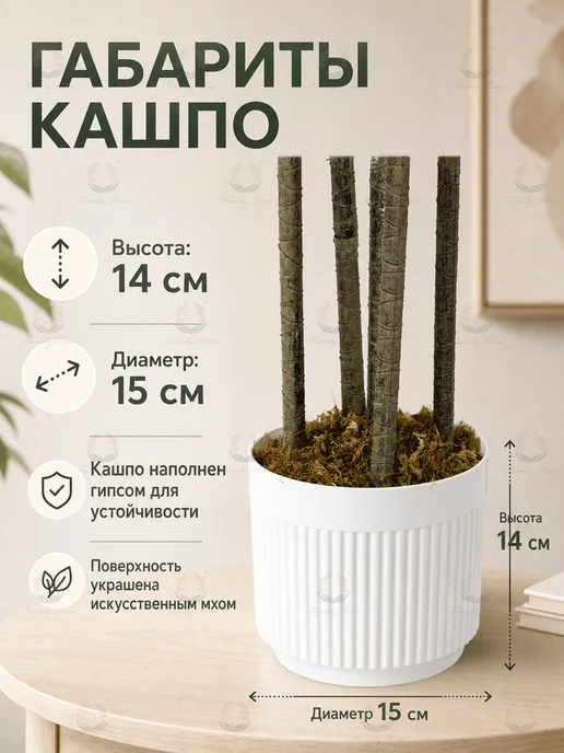 Friendly Home Искусственное дерево декоративное, Драцена 150 см, зеленый, фото 5