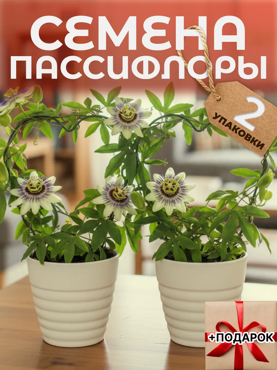 Пассифлора семена