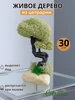 Искусственное дерево бонсай из мха Цетрария 535306024 купить за 5 148 ₽ в интернет‑магазине Wildberries