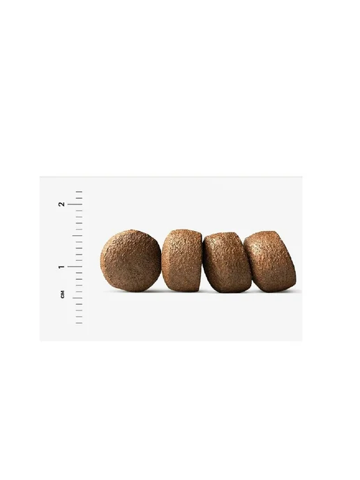 Сухой корм Farmina Ancestral Grain для собак, крупные, средние, курица, 15 кг, фото 2