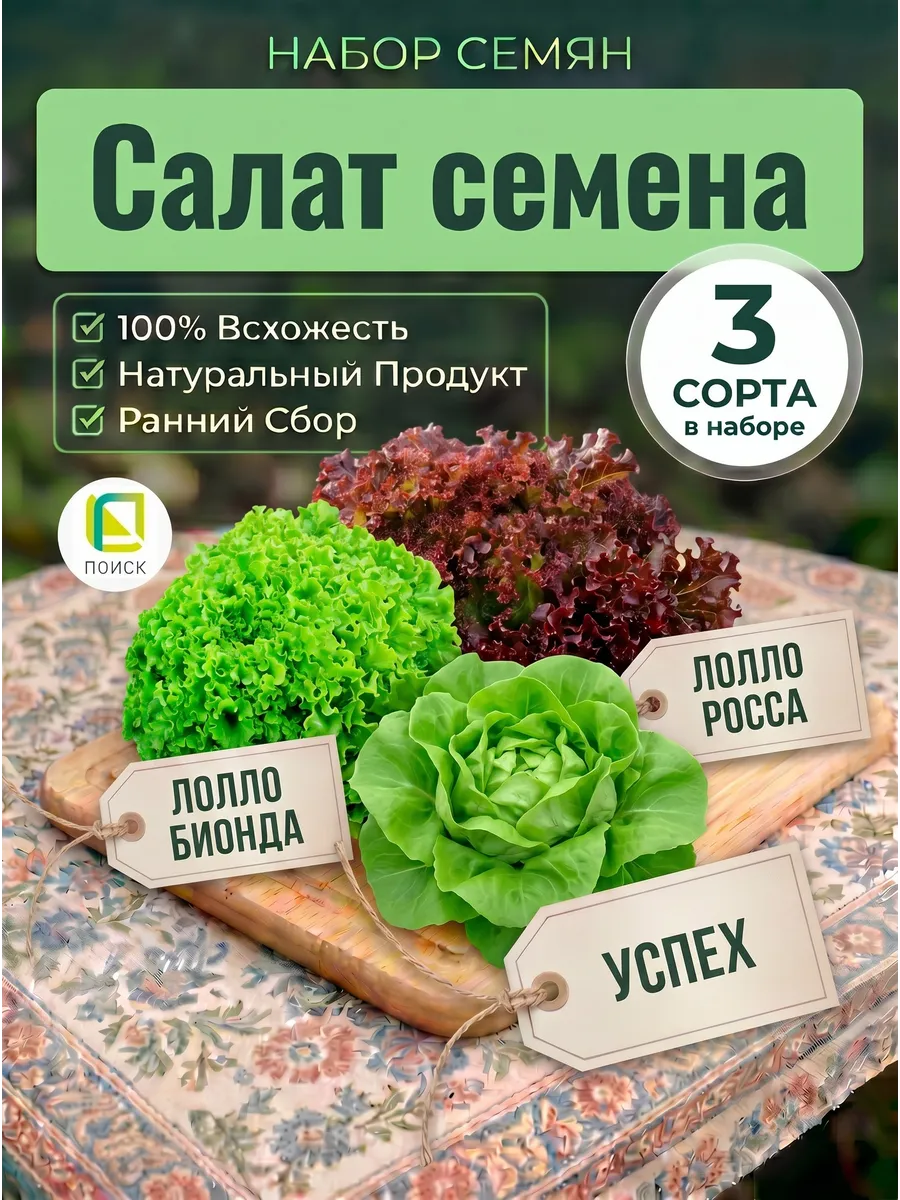 Салат семена Лолло Бионда, Лолло Росса, Успех