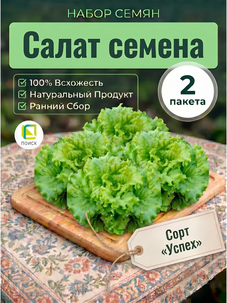 Салат семена Успех