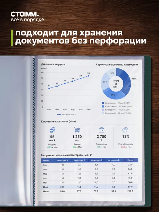 Стамм Папка с файлами А4 60 вкладышей с гербом для документов, вариант, фото 4