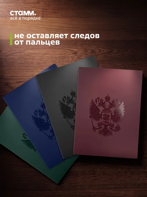 Стамм Папка с файлами А4 60 вкладышей с гербом для документов, вариант, фото 8