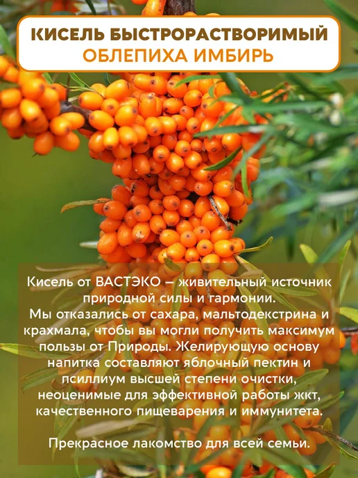 Вастэко Псиллиум Кисель без сахара Облепиха-Имбирь, 300 г, 300 г, фото 2