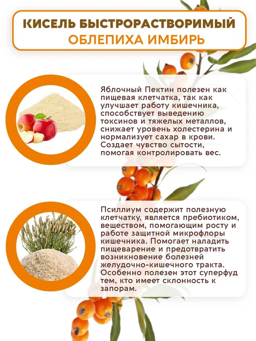 Вастэко Псиллиум Кисель без сахара Облепиха-Имбирь, 300 г, 300 г, фото 4