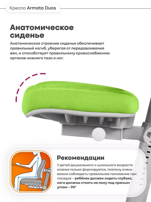 Anatomica Armata Duos с подлокотниками ортопедическое кресло серый, зеленый, фото 4