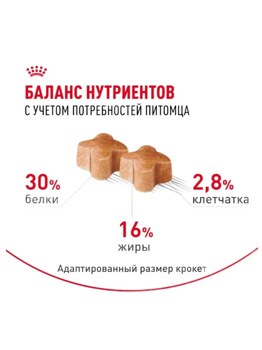 Сухой корм Royal canin Лабрадор для собак, щенки, 3 кг, фото 2