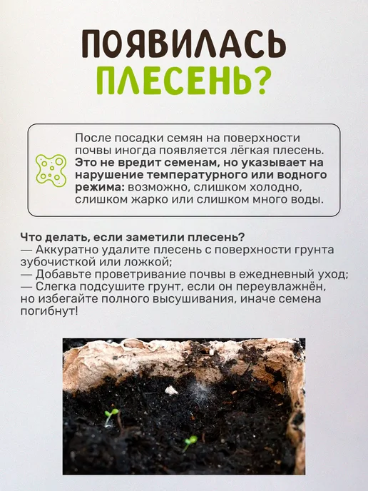 Сад на окне Тимьян Набор для выращивания овощей, вариант, фото 2