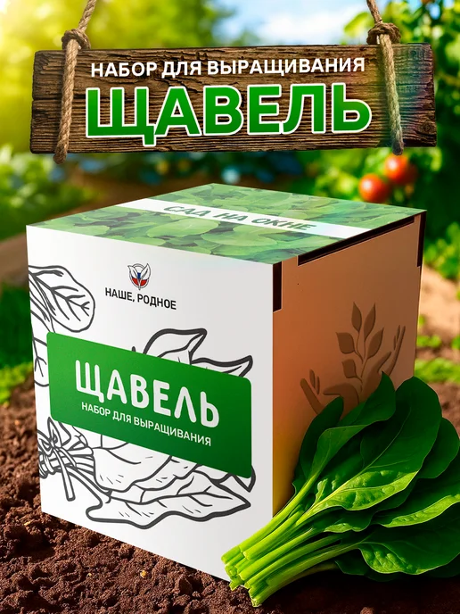 Сад на окне Щавель Набор для выращивания овощей, вариант