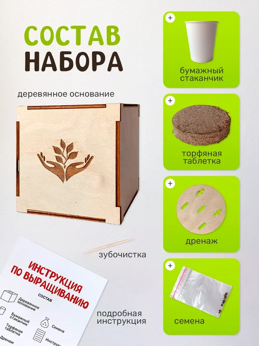 Сад на окне Щавель Набор для выращивания овощей, вариант, фото 3
