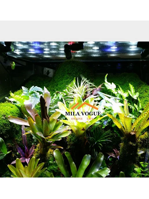 Форсунка MIUS одинарная, вариант, фото 2