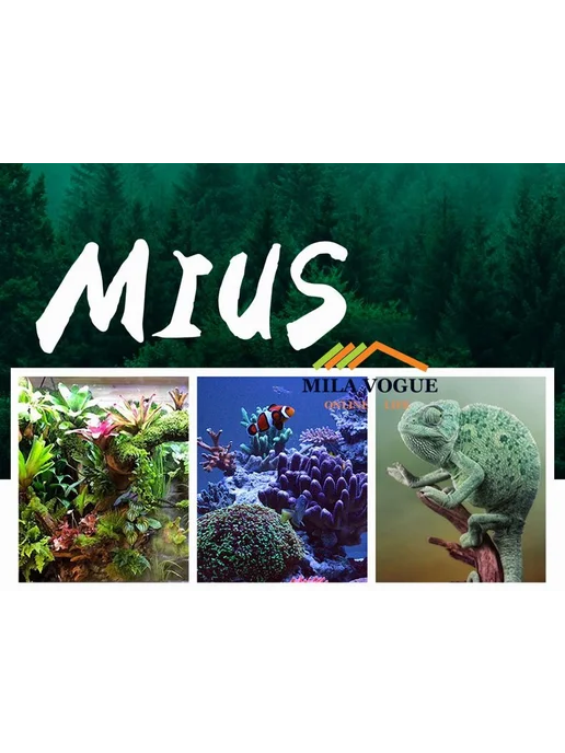 Форсунка MIUS одинарная, вариант, фото 7