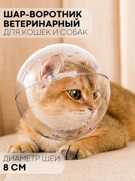 Прозрачный пластиковый воротник для животных L, вариант, фото 2