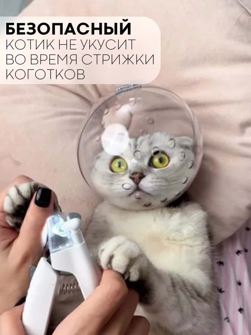 Прозрачный пластиковый воротник для животных L, вариант, фото 3