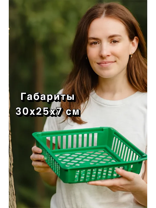 Дачария Корзины для луковичных цветов и выращивания бабочек, зеленый, в упаковке 600 г, фото 2