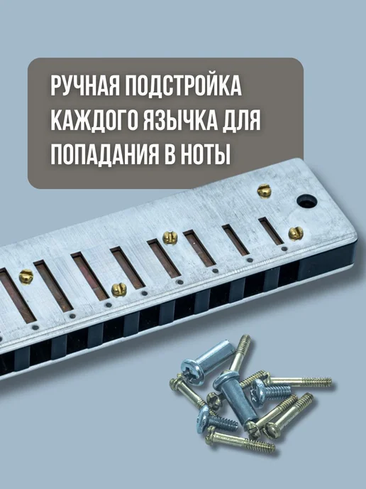 Swan Губная гармошка SW1020H-BK premium, Тональность C, 10 о, вариант, фото 3