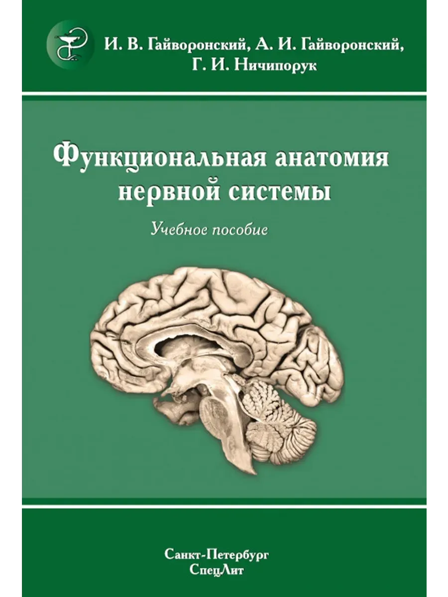 Функциональная анатомия нервной системы