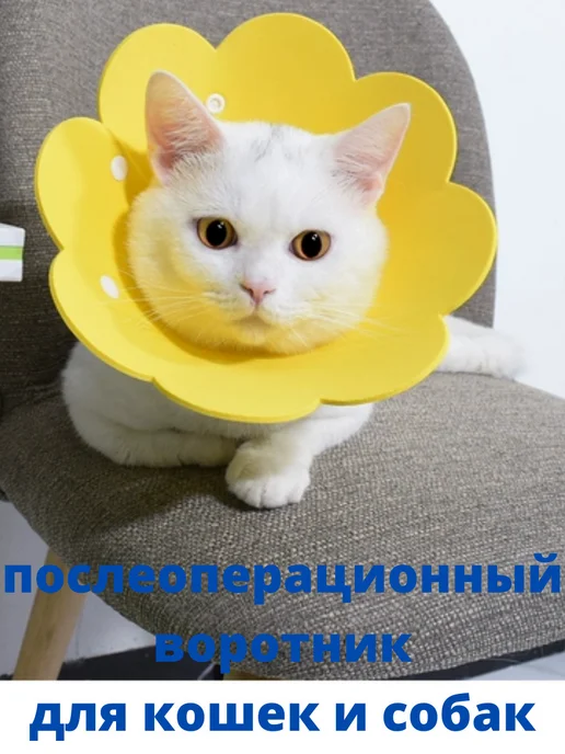 Ветеринарный воротник для кошек и собак фетр арт 80, вариант