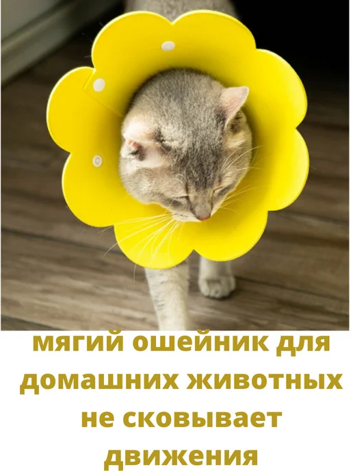Ветеринарный воротник для кошек и собак фетр арт 80, вариант, фото 2