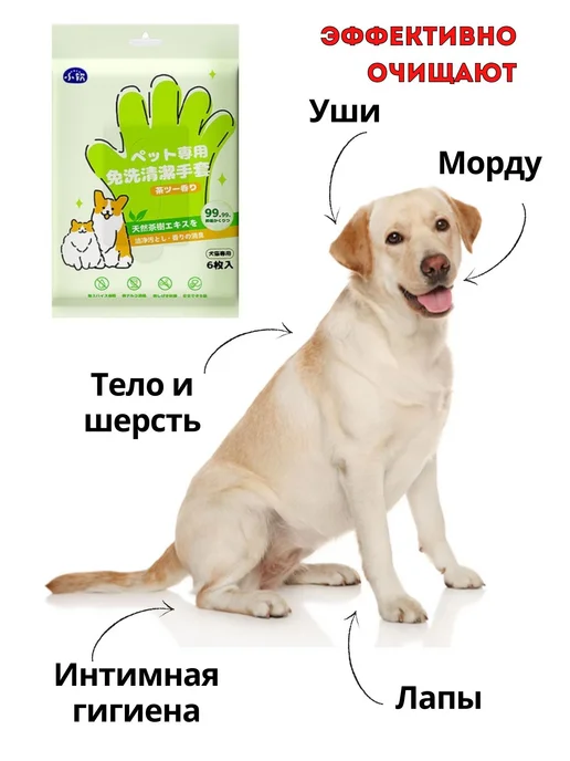 Влажные салфетки для животных с чайным деревом 6 шт, 6 шт, фото 3
