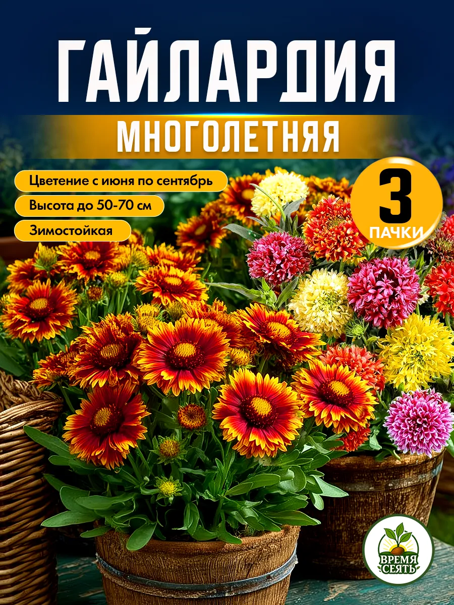 Семена гайлардии многолетней