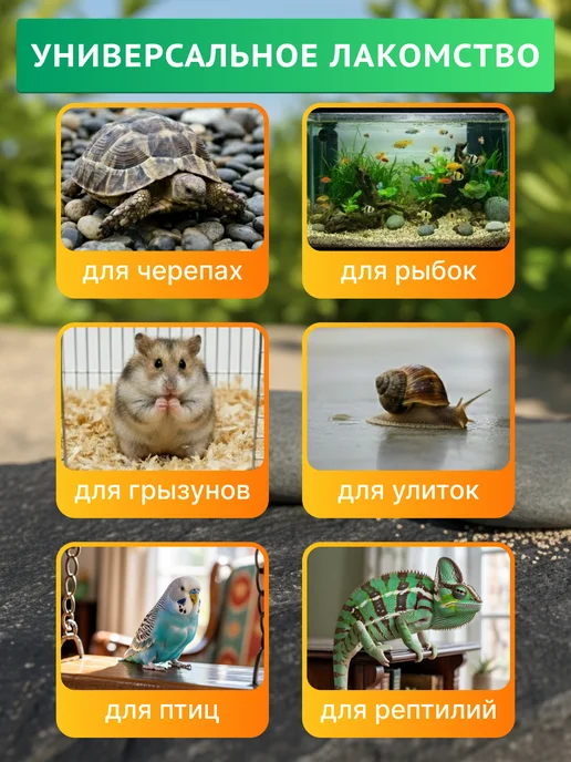 Крупный Гаммарус цельная тушка для черепах, крыс и рыб, Крупный Гаммарус тушка и, фото 2