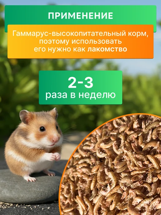 Крупный Гаммарус цельная тушка для черепах, крыс и рыб, Крупный Гаммарус тушка и, фото 3