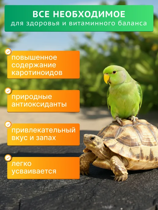 Крупный Гаммарус цельная тушка для черепах, крыс и рыб, Крупный Гаммарус тушка и, фото 7