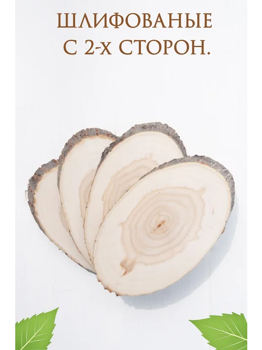 брусничка Овальные косые спилы дерева. 8-10 см, вариант, фото 2
