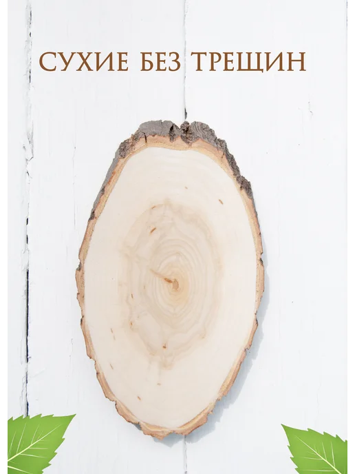 брусничка Овальные косые спилы дерева. 8-10 см, вариант, фото 3