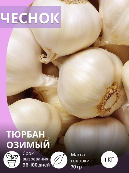 САЖАЙ И ТОЧКА Чеснок на посадку осенью крупный Тюрбан озимый 1 кг, 1 кг